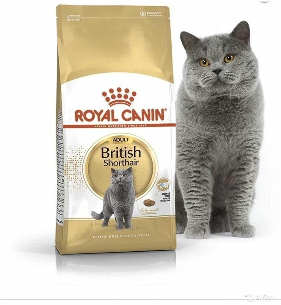 сухой корм Royal Canin 25570400R0 - фотография № 1