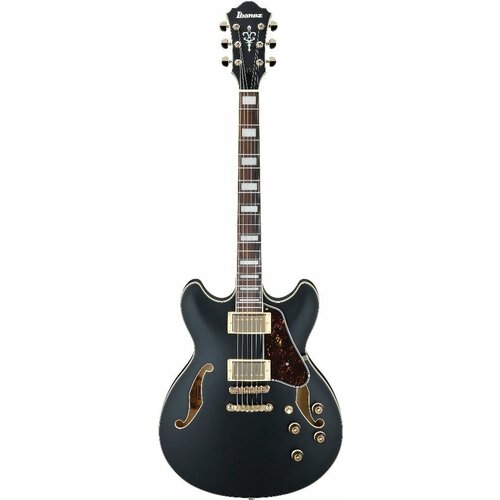 Ibanez AS73G-BKF