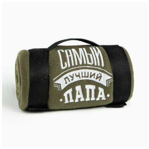 Плед Лучший папа 130х150 см 100 пэ флис 160 грм2 2210₽