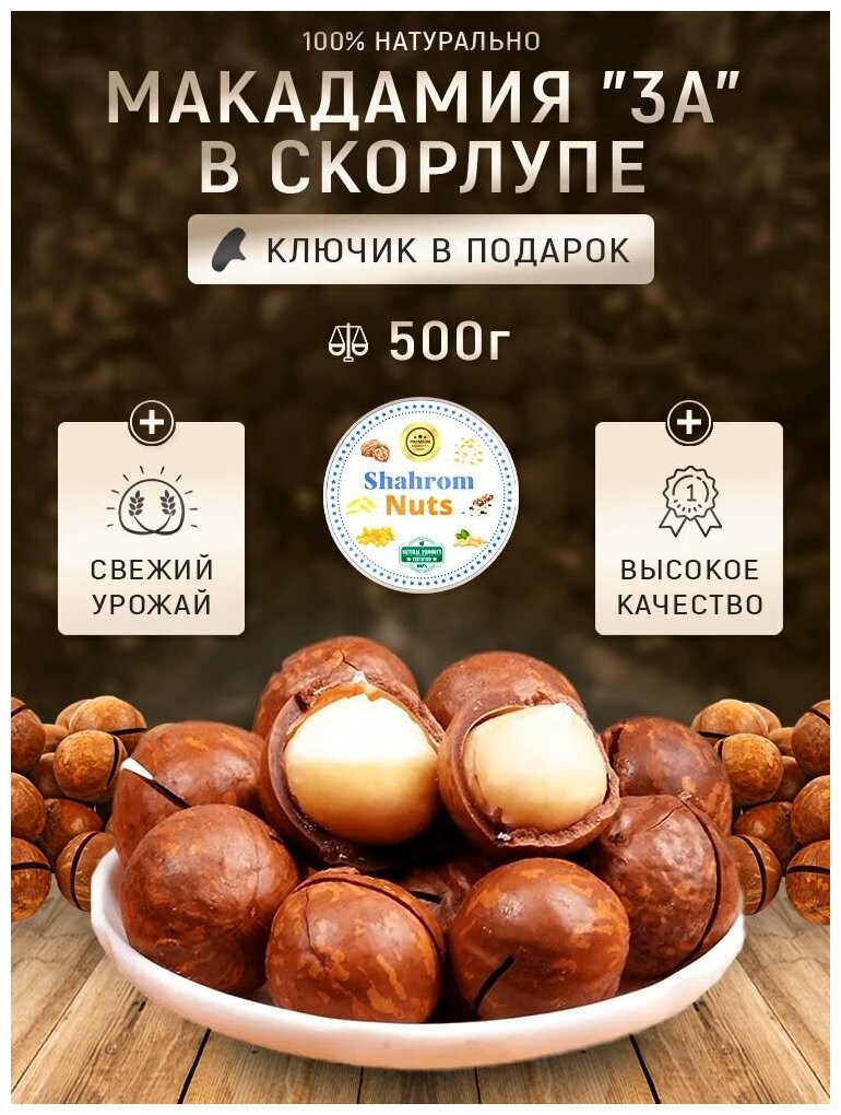 Макадамия орех в скорлупе 500г, 3A высший сорт "Shahrom Nuts" (с ключом) - фотография № 1
