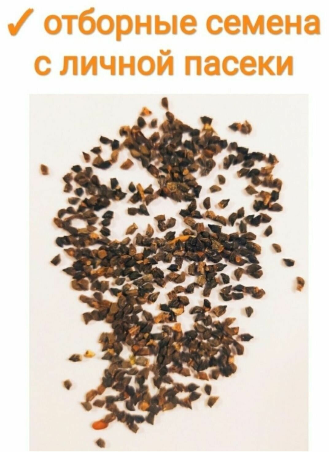Садовые Газоны Синяк семена 50гр медонос/сидерат