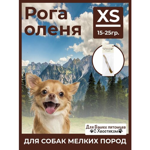 Рог оленя XS (15-25) С хвостиком