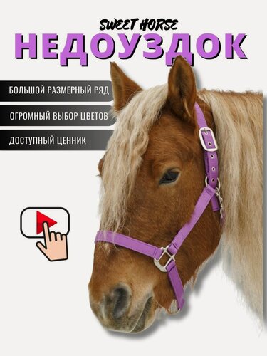 Изображение товара Sweethorse / Недоуздок для лошади и пони, фиолетовый, размер Cob
