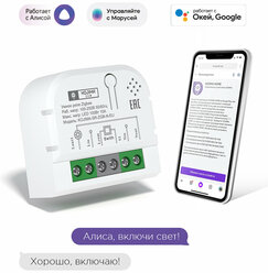 Умное реле с ZigBee одноканальное с нейтралью, мониторинг потребления, Яндекс Алисой, Марусей, Google Home, Wireless Relay 10A