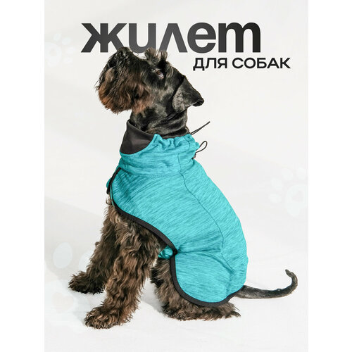 Жилет для собак, бирюзовый, S сетчатый жилет для собак мягкая флисовая одежда для маленьких собак теплый жилет повседневная футболка для собак с ремнем для собак пово