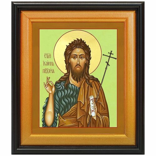 Предтеча и Креститель Господень Иоанн, икона в широком киоте 24*27,5 см