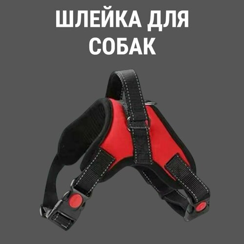 Шлейка для собак крупных и средних пород цвет красный черный размер M 500₽