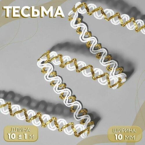 Тесьма декоративная, 10 мм, 10 1 м, цвет белый/золотой 2 шт.