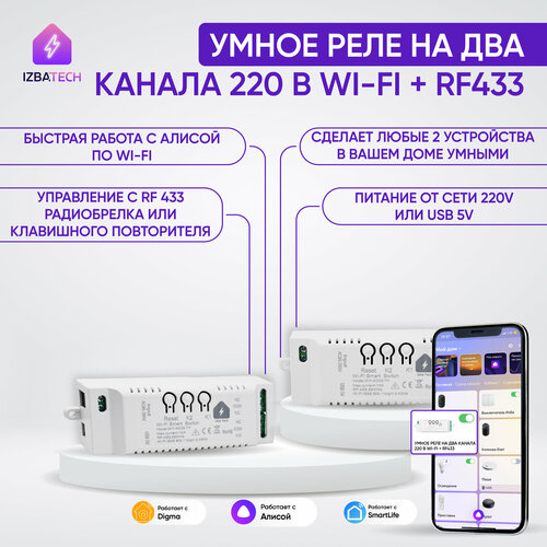 Умное реле с корпусом на два канала для Яндекс Алисы от Tuya 220В WIFIRF433 беспроводной двух канальный модуль мощностью 2200вт 152700₽