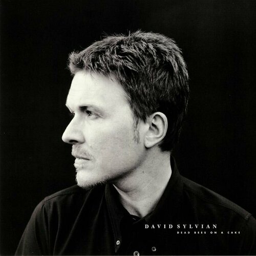 Sylvian David Виниловая пластинка Sylvian David Dead Bees On A Cake