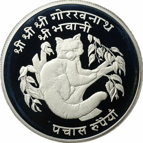 Монета 50 рупий 1974 Малая панда PROOF 925 проба Непал клуб нумизмат монета 50 рупий индии 1974 года серебро фао