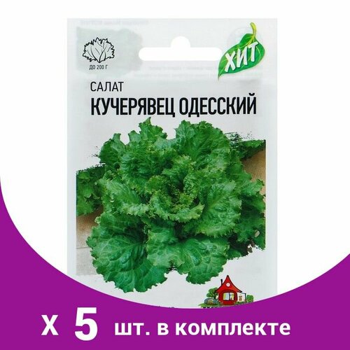 Семена Салат 'Кучерявец Одесский' хрустящий, 0,5 г серия ХИТ х3 (5 шт) семена салат кучерявец одесский 0 5 г