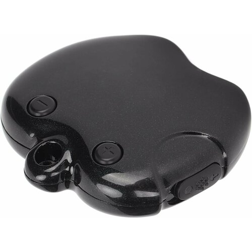 Портативный рекордер подвеска в виде яблока 350000₽