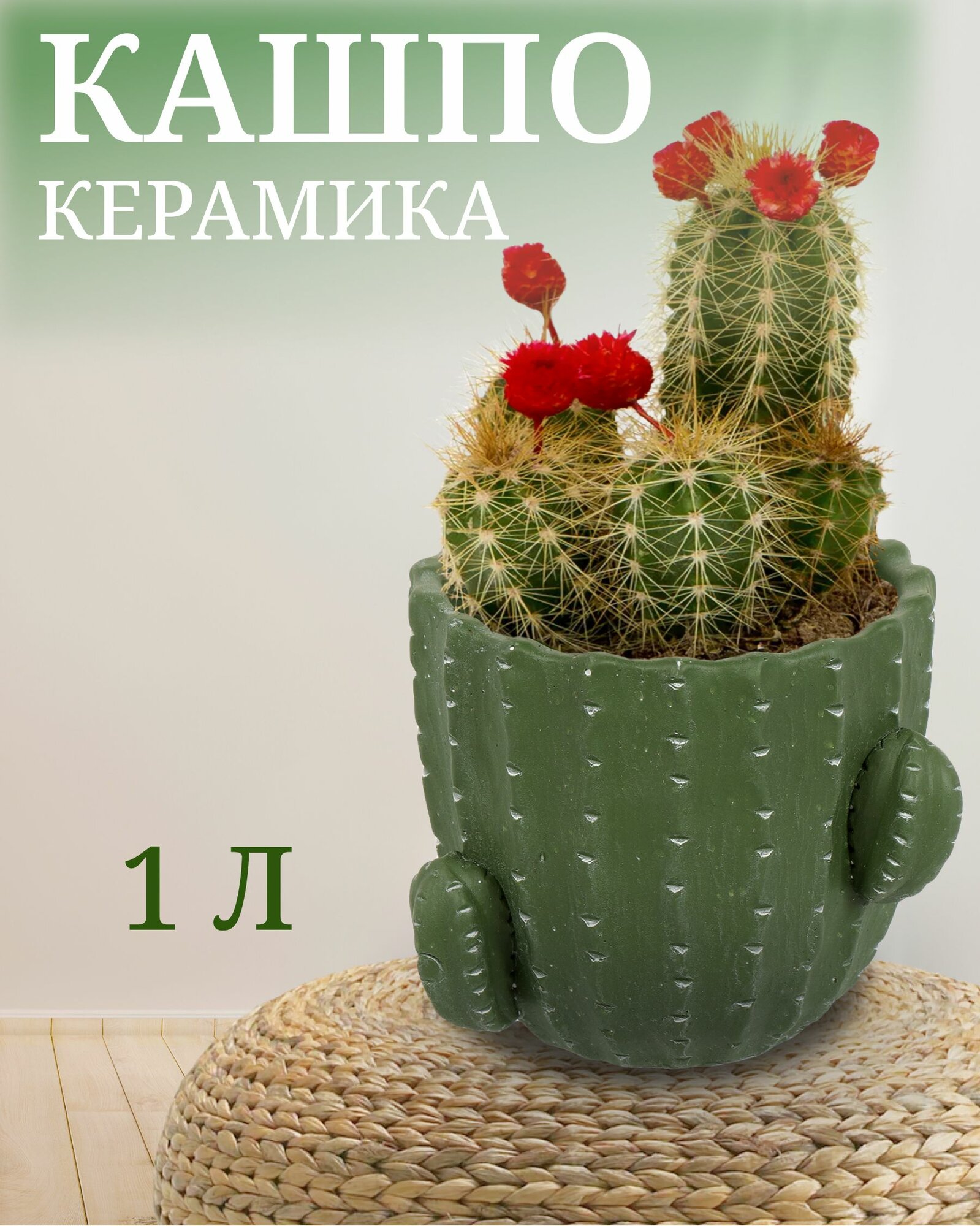 Горшок для цветов керамика, 1 л, 14х12х14 см, Кактус, Y4-3081