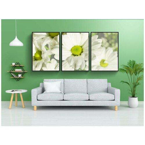 фото Набор модулных постеров для интерьера "цветы, ромашки, лепестки" 60x90 см. в тубусе, без рамки lotsprints