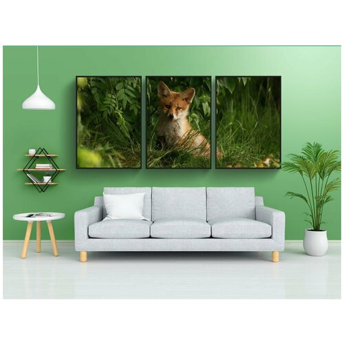 фото Набор модулных постеров для интерьера "лиса, щенок, вечерняя атмосфера" 60x90 см. в тубусе, без рамки lotsprints