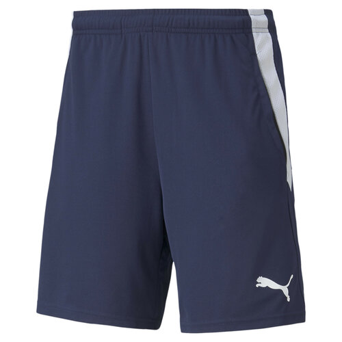 Шорты PUMA Teamliga Training Men's Football Shorts 2, размер XXL, синий
