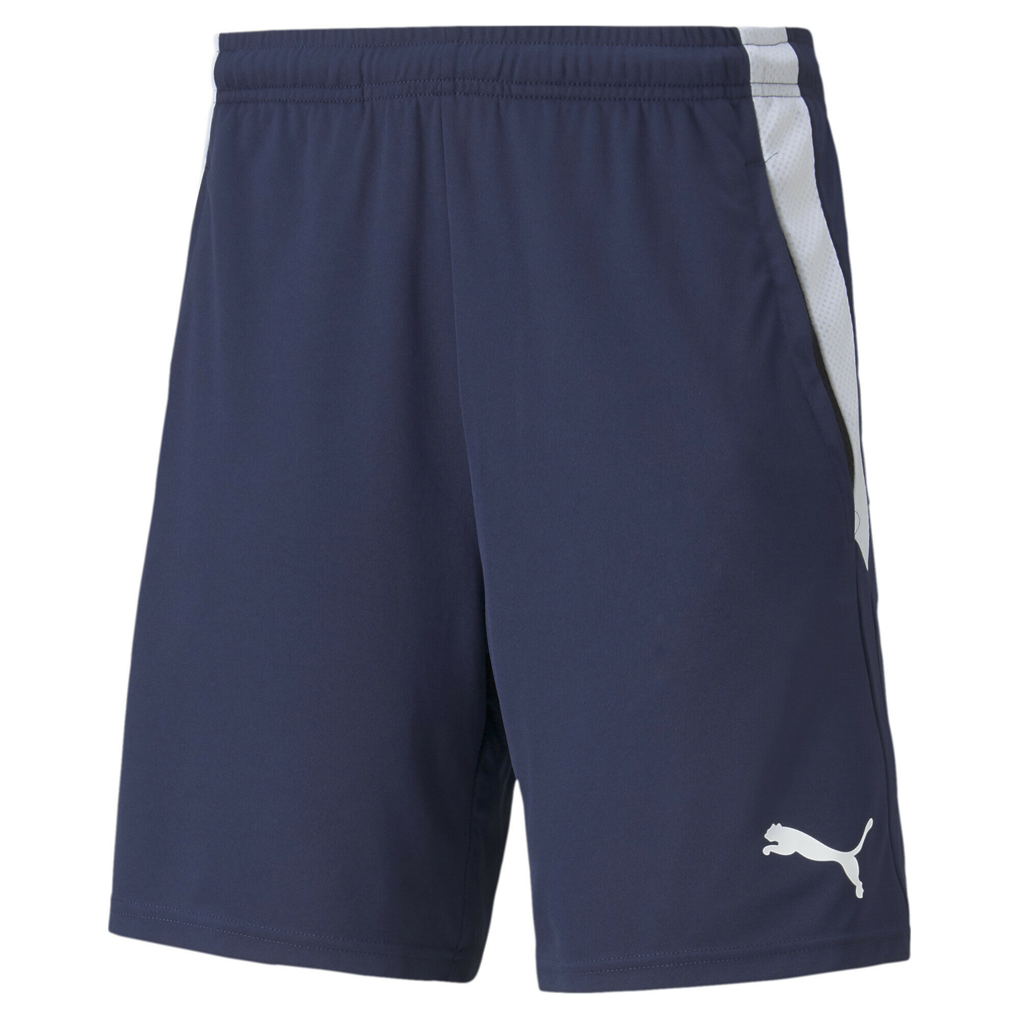 Шорты PUMA Teamliga Training Men's Football Shorts 2