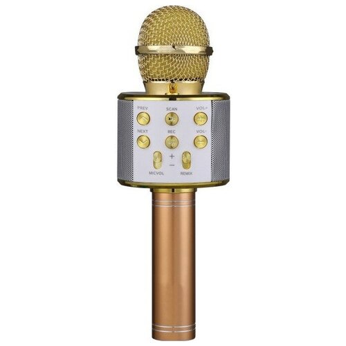 Беспроводной микрофон-караоке FunAudio G-800 Gold