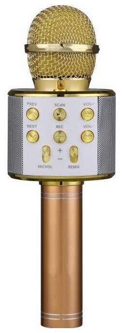 Беспроводной микрофон-караоке FunAudio G-800 Gold