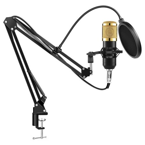 Микрофон конденсаторный с пантографом комплект для блогеров стриминга USB звуковой адаптер стойка поп-фильтр ветрозащита паук в комплекте 345000₽