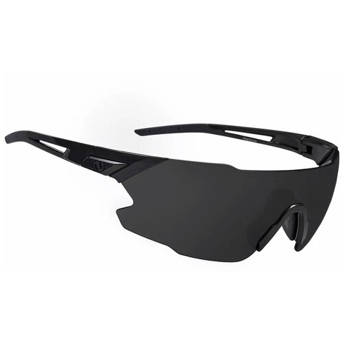 фото Очки northug classic black standard