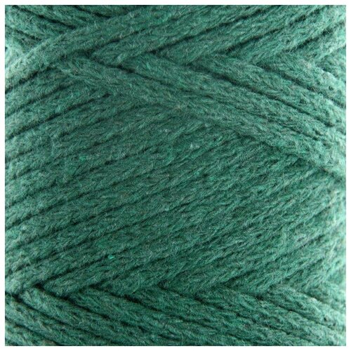 Купить Osttex Шнур для вязания без сердечника 100% хлопок, ширина 3мм 100м/200гр (т. зелёный)