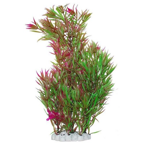 Растение для аквариума Уют Гетерантера зелено-фиолетовая, 44 см, 310 гр
