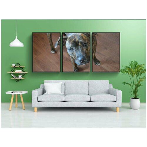 фото Набор модулных постеров для интерьера "собака, милый, штатный" 60x90 см. в тубусе, без рамки lotsprints