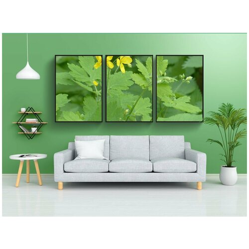 фото Набор модулных постеров для интерьера "чистотел большой, цвести, желтый" 60x90 см. в тубусе, без рамки lotsprints