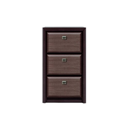 БРВ-Мебель Коен Тумба для обуви BUT3D штрокс темный