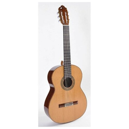 Классическая гитара ESTEVE 12 CD + Кейс