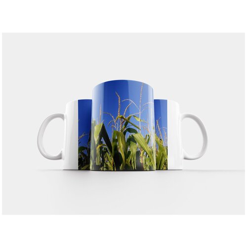 фото Кружка "кукурузное поле, природа, сельское хозяйство" 320 мл lotsprints