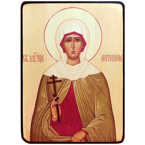Икона Антонина Никейская, размер 19 х 26 см