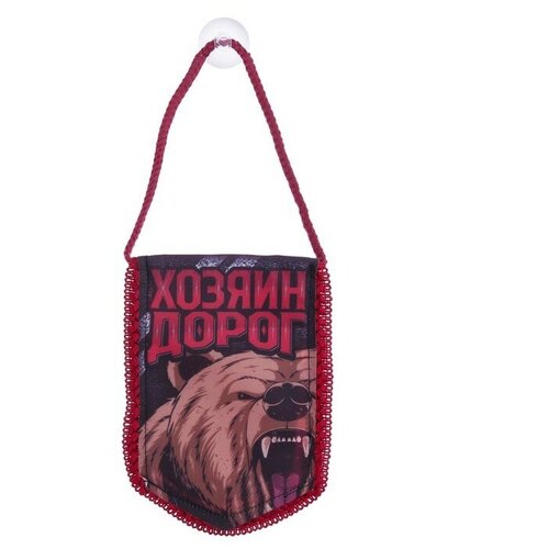 Вымпел в авто Автомобилист 39800₽