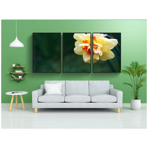 фото Набор модулных постеров для интерьера "нарцисс, цветок, весна" 60x90 см. в тубусе, без рамки lotsprints