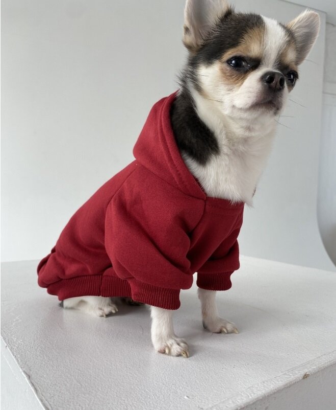 Кофта - толстовка для мелких пород собак "BRO Style", цвет бордовый, р XL (на флисе) обхват груди 48 см, обхват шеи 40 см, длина по спинке 36 см.