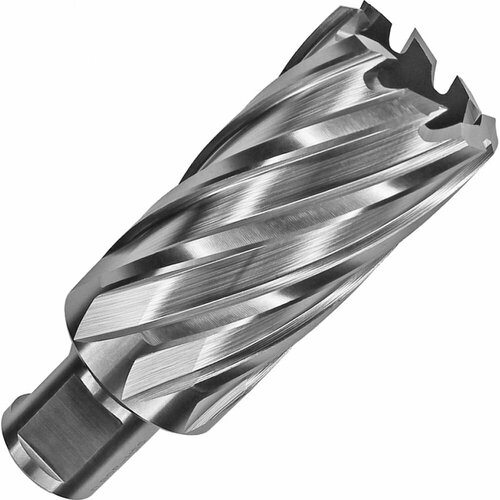 Сверло корончатое HSS по металлу (20х55/88 мм; Weldon 19) D.BOR CD HSS 055 020 W