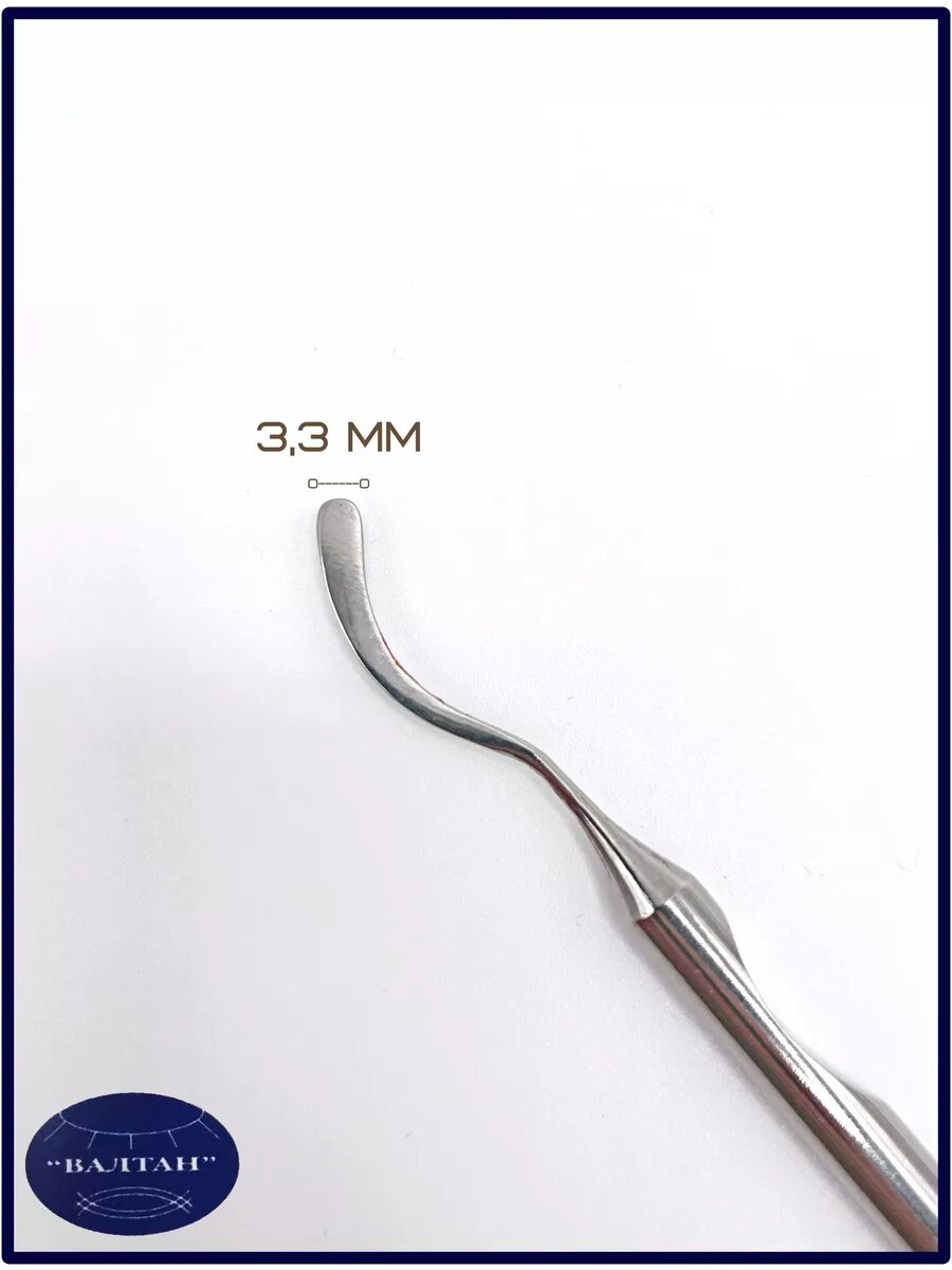 Гладилка серповидная — фото 1