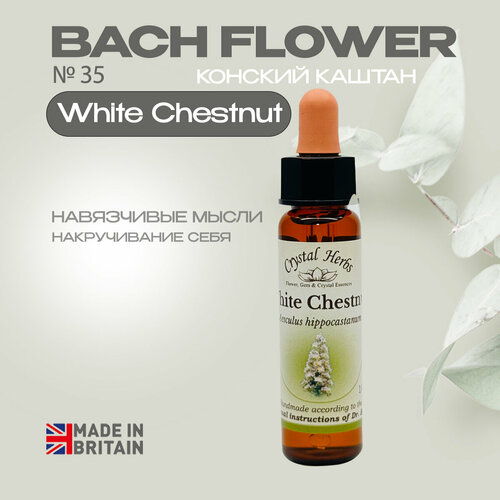 Цветы Баха, эссенция №35 White Chestnut (Конский каштан) Уайт Честнат - капли 10 мл. Англия