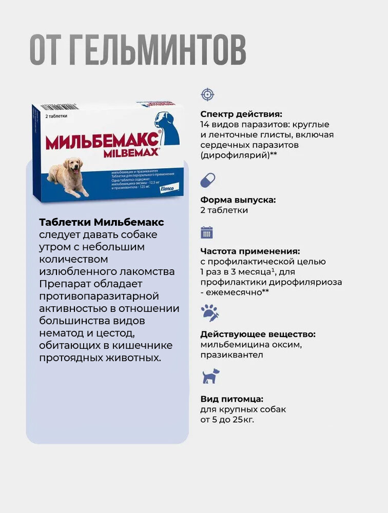 Мильбемакс от гельминтов для собак, 2 табл. 12,5/125 мг — фото 1