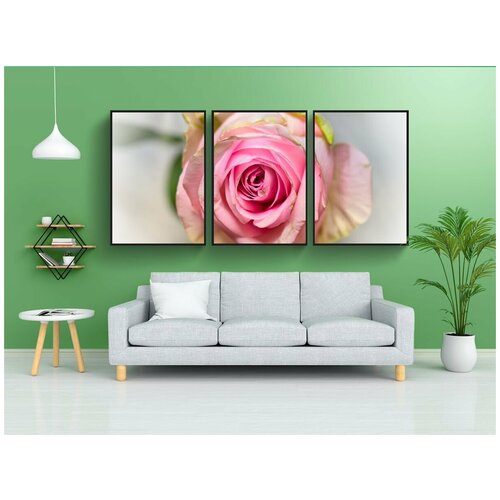 фото Набор модулных постеров для интерьера "роза, розовый, благородный" 60x90 см. в тубусе, без рамки lotsprints