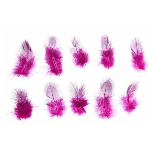 Набор перьев для декора 10 шт, размер 1 шт: 5 × 2 см, цвет розовый с чёрным