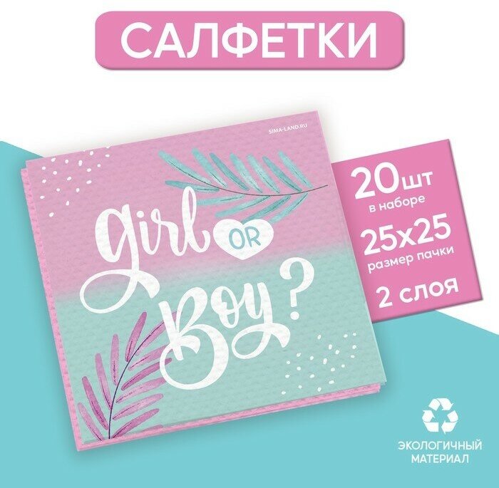 Страна Карнавалия Салфетки бумажные Gir or Boy, 25 × 25 см, в наборе 20 шт.