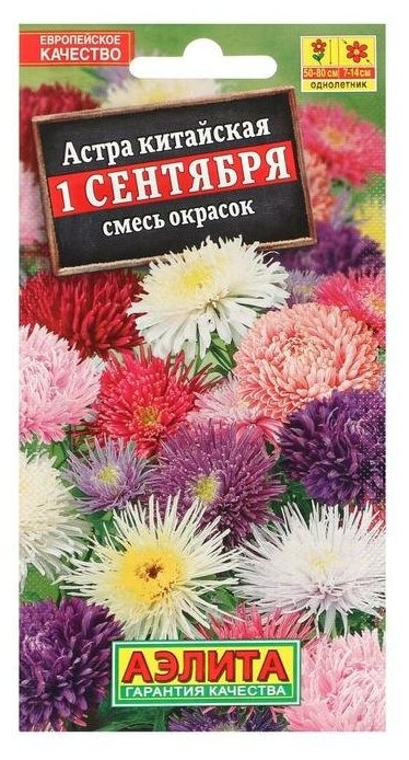 Семена цветов Астра "Аэлита" "1 сентября" смесь окрасок однолетник 02 г