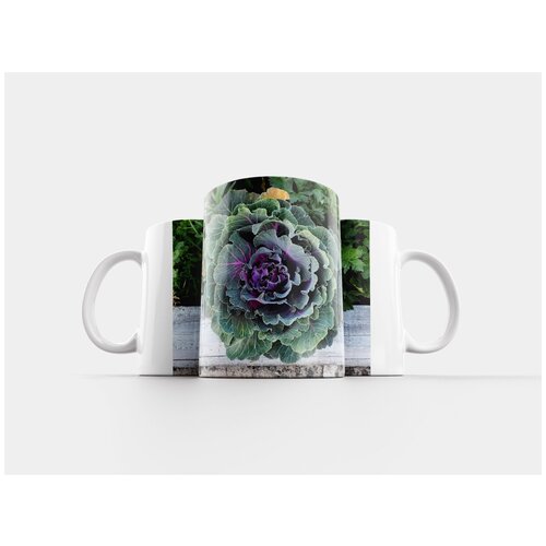 фото Кружка "капуста, растение, сад" 320 мл lotsprints