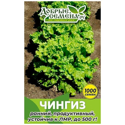 Семена салата Чингиз - 1000 шт - Добрые Семена. ру семена салата чингиз 250 шт добрые семена ру