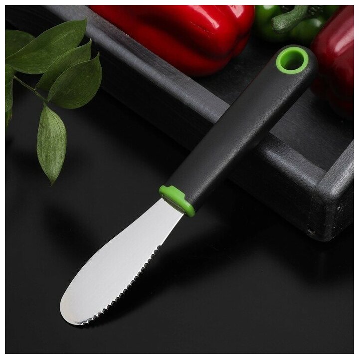 Нож для масла Доляна Lime, 20х3 см, цвет черно-зеленый