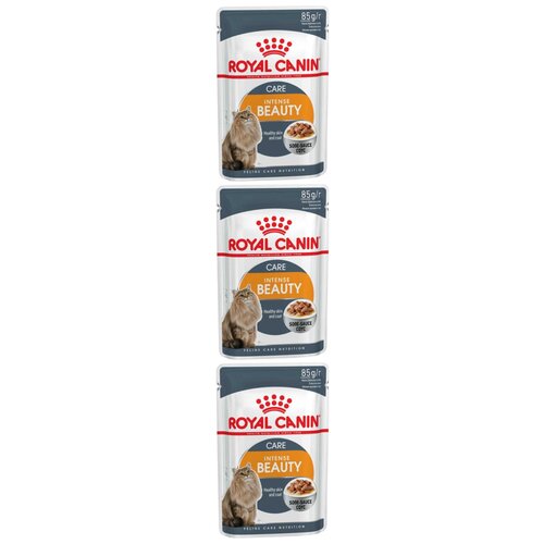 Пауч Royal Canin Intense Beauty (в желе) 85гр/3шт
