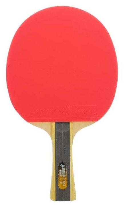 Ракетка для настольного тенниса DHS T1002 , 1* звезда, для начинающих игроков, накладка 1,8 мм, кон. ручка